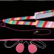 Hair Accessories Travel Bags