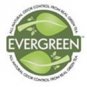 Tea Leaf 13" EuroBox Eco Green Twin Size Bed