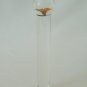 NEW Glass Massager-8 1/4" Curved Dildo Dong Anal Plug W/Base, Floral Head, Clear/Orange/GreenG-086