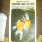 Tropical fish as pets