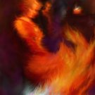 Dance Of The Phoenix