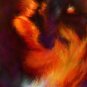 Dance Of The Phoenix