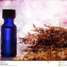 100% Pure Organic Rosehip Oil: HIGHEST Quality