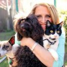 In-Person Holistic Medical Pet Consultation (Southern California)