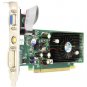 Jaton Video-PX7300-256 GeForce 7300GS 256 MB GDDR2 PCIe x16 video Card