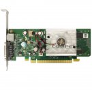 ASUS Nvidia GeForce 8440GS 256MB PCIe x16 DVI Video Graphics Card HP 445743-001