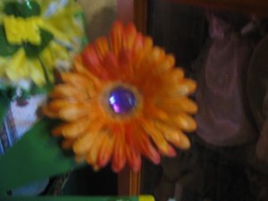 Orange dream