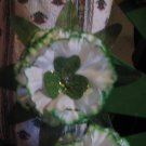 Carnation with leaves