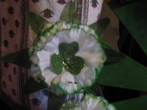 Carnation with leaves