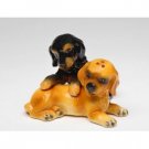 Black and Brown Cocker Spaniel Dog Puppy Salt and Pepper