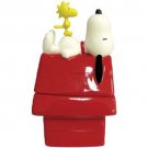 Peanuts Magnetic Snoopy and Woodstock On Dog House Salt & Pepper
