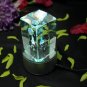 A Decoration 3D Laser Crystal Gift Light Base Capricorn