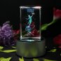 All New Aquarius 3D Laser Crystal Gift with Light Base