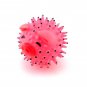 Brand New The Squeaky Rubber Pig Pet Chew Toy for Dogs
