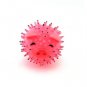 Brand New The Squeaky Rubber Pig Pet Chew Toy for Dogs