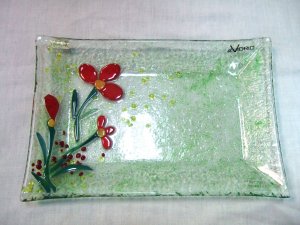 Fused glass plate