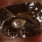 .925 Sterling Silver Black Onyx Ring Filigree Floral Design Sz 8 almost Sz 8.25