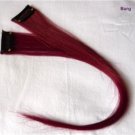 12" Burgundy Human Hair Clip In Extensions for Highlights(2pcs)