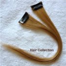 12" #27 Strawberry Blonde Human Hair Clip In On Extensions for Highlights(2pcs)