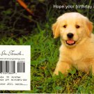 dog birthday postcard