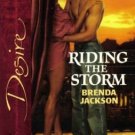 Riding The Storm by Brenda Jackson Silhouette Desire Romance Novel Book 0373766254 