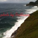 Seal Point lighthouse 8x10