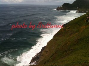 Seal Point lighthouse 8x10