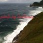Seal Point lighthouse 8x10