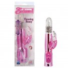 Enchanted-Thrusting-Bunny