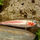 Custom  Daiwa Jerk Bait