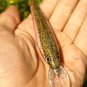 Custom Daiwa Jerk Bait