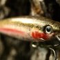 Custom Daiwa Jerk Bait