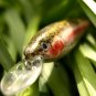 Custom Daiwa Jerk Bait