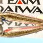 Custom Daiwa Jerk Bait