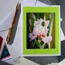 Card Notecard Greating Card - Iris
