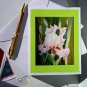 Card Notecard Greating Card - Iris