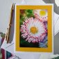 Card Notecard Greating Card - English Daisies