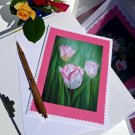 Card Notecard Greating Card - Tulips