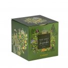 Plantasia Organic Green Tea Ginger - Metal cube 24 sachets 48g Collectible