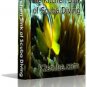 The Kitchen Sink of SCUBA Diving, A Complete Guide