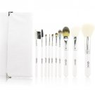 Professional 10pcs Makeup Brush Set with Case