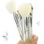 Professional 10pcs Makeup Brush Set with Case