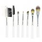 Professional 10pcs Makeup Brush Set with Case