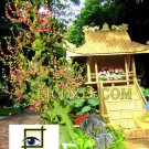 VLA007201109 - Bali flowers - 20x30cm (8x12")