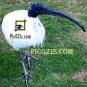 VAN003201109 - Australian Bird - 15x20cm (6x8")