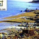 BSE002201109 - Beachside - the Dead sea - 28x35cm (11x14")