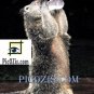 VAN008201109 - Cute animal - 15x20cm (6x8")