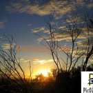 VSU002201109 - Sunset in Alice Springs - 13x18cm (5x7")