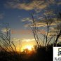 VSU002201109 - Sunset in Alice Springs - 13x18cm (5x7")