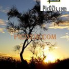 VSU003201109 - Sunset in Alice Springs - 15x20cm (6x8")